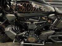 HARLEY-DAVIDSON Sportster
