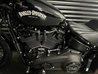HARLEY-DAVIDSON Softail