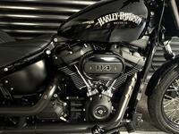 HARLEY-DAVIDSON Softail