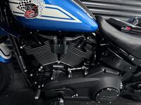 HARLEY-DAVIDSON Softail