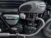 TRIUMPH BONNEVILLE T100