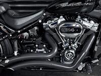 HARLEY-DAVIDSON Softail