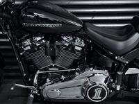 HARLEY-DAVIDSON Softail