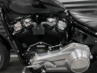 HARLEY-DAVIDSON Softail