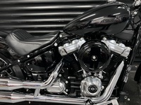 HARLEY-DAVIDSON Softail