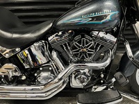 HARLEY-DAVIDSON Softail