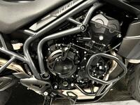 TRIUMPH TIGER 800